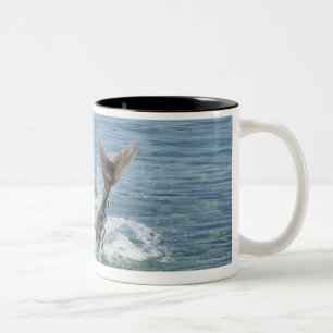 Fische, die im Meer spritzen Zweifarbige Tasse