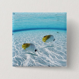 Fische im Meer 2 Button