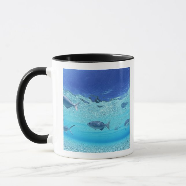 Fische im Meer 4 Tasse (Links)