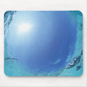 Fische im Meer Mousepad
