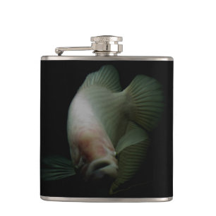 Fische im Tankportrait Flachmann