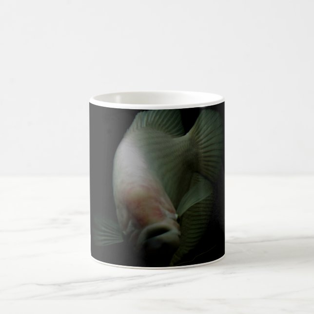 Fische im Tankportrait Kaffeetasse (Mittel)