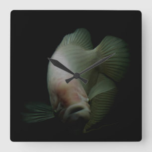 Fische im Tankportrait Quadratische Wanduhr