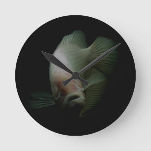 Fische im Tankportrait Runde Wanduhr