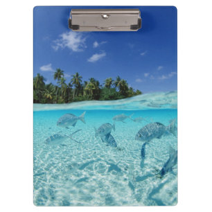 Fische in Meer Klemmbrett