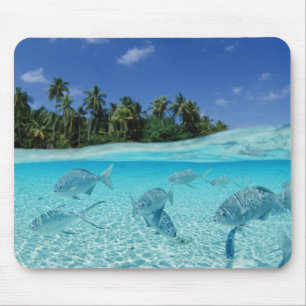 Fische in Meer Mousepad