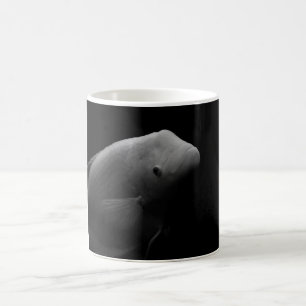 Fische in Tank Kaffeetasse