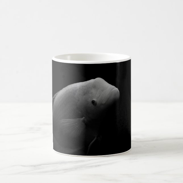 Fische in Tank Kaffeetasse (Mittel)
