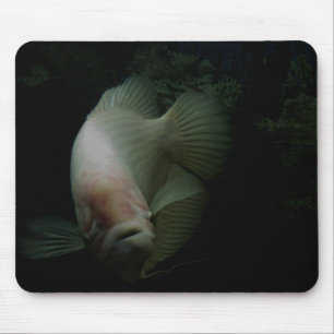 Fische in Tank Mousepad