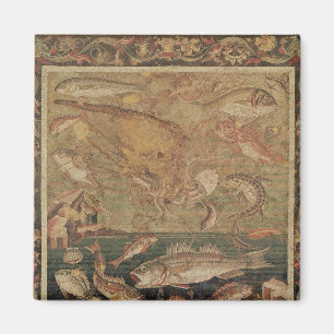 Fische, Mollusken und Krebstier Magnet
