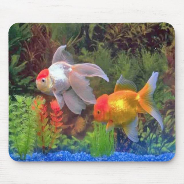 Fische Mousepad (Vorne)