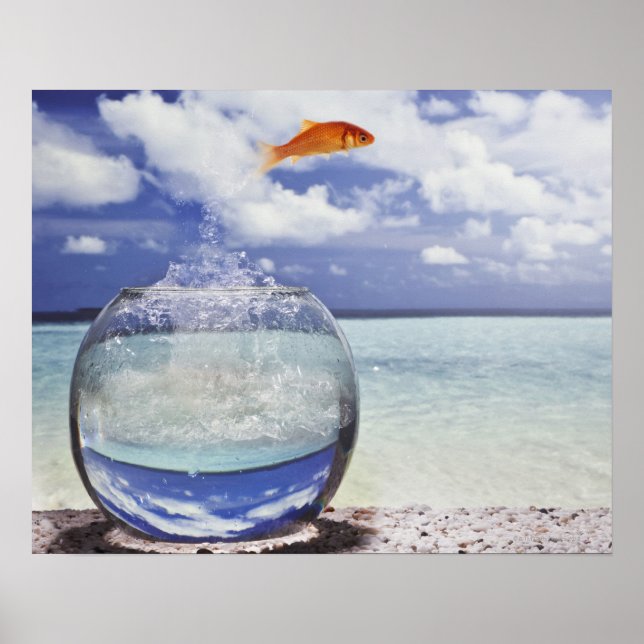 Fische springen aus dem Aquarium Poster (Vorne)