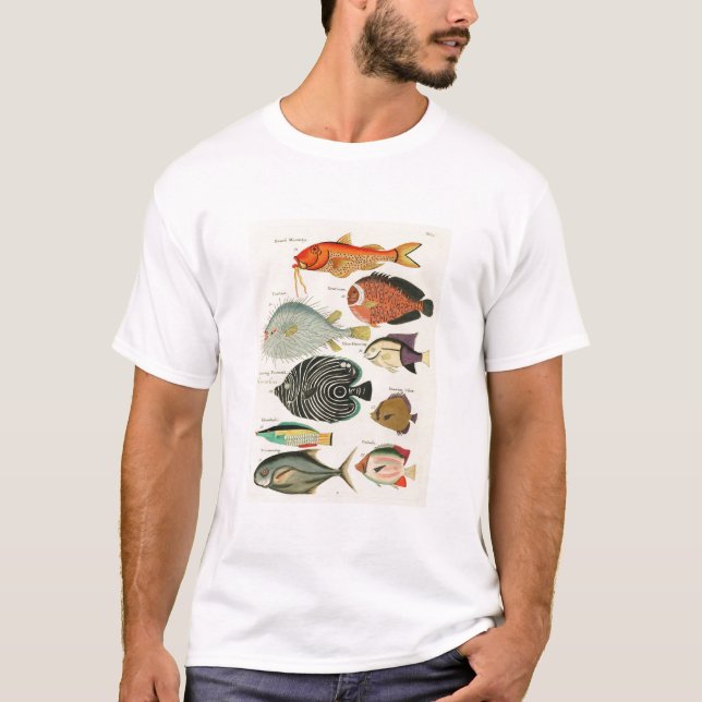 Fische T-Shirt (Vorderseite)
