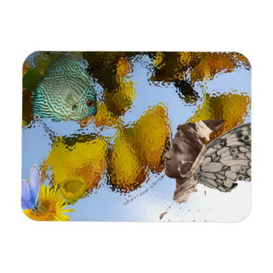 Fische u. Feen-Magnet Magnet