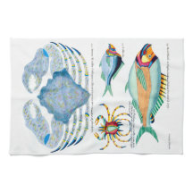 Fische und Krabben auf altem Papier