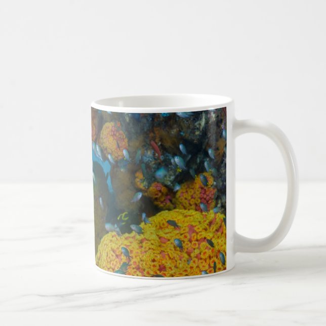 Fische unter Korallenriff Kaffeetasse (Rechts)