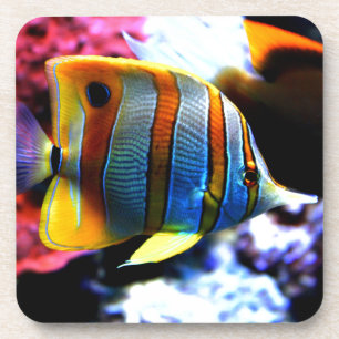 Fische Untersetzer