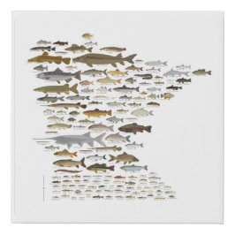 Fische von Minnesota Künstlicher Leinwanddruck