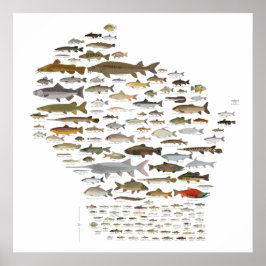 Fische von Wisconsin Poster