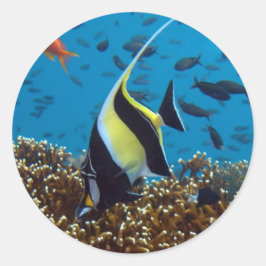 Fische Wassertiere Runder Aufkleber
