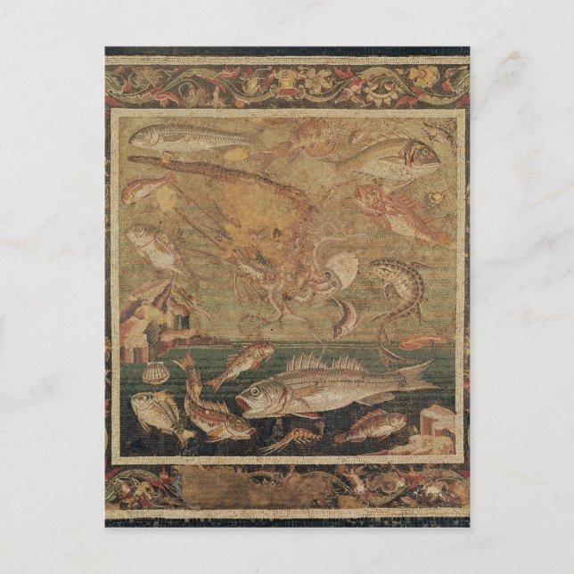 Fische, Weichtiere und Krebstiere Postkarte (Vorderseite)