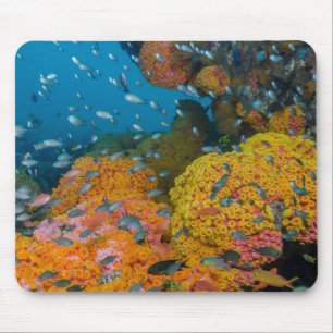 Fische zwischen Korallenriff Mousepad