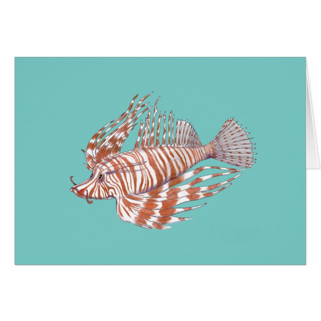 FischeManchu (Vorderseite (Horizontal))