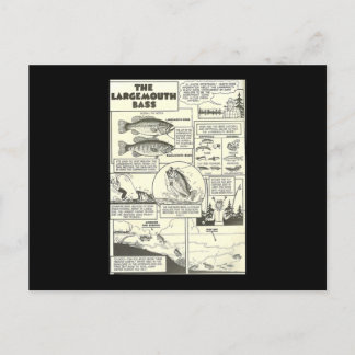 Fischen Comic Buchtipps Bass Bajonett Niedlich Postkarte