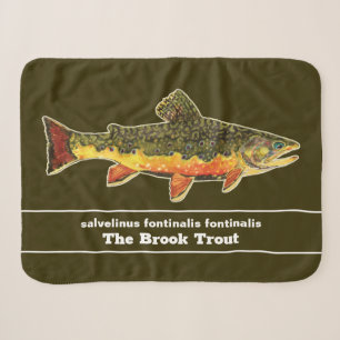 Fischen für Brookie - Bachforelle Fischer Sherpadecke