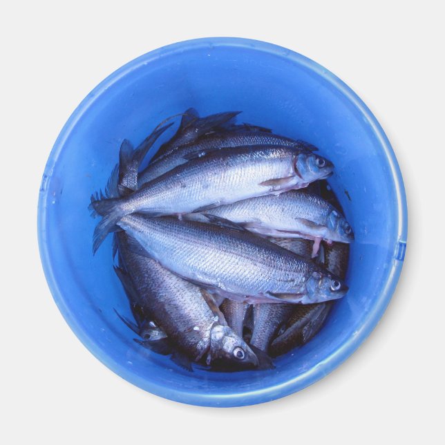 Fischen in einem Eimer Magnet (Vorne)
