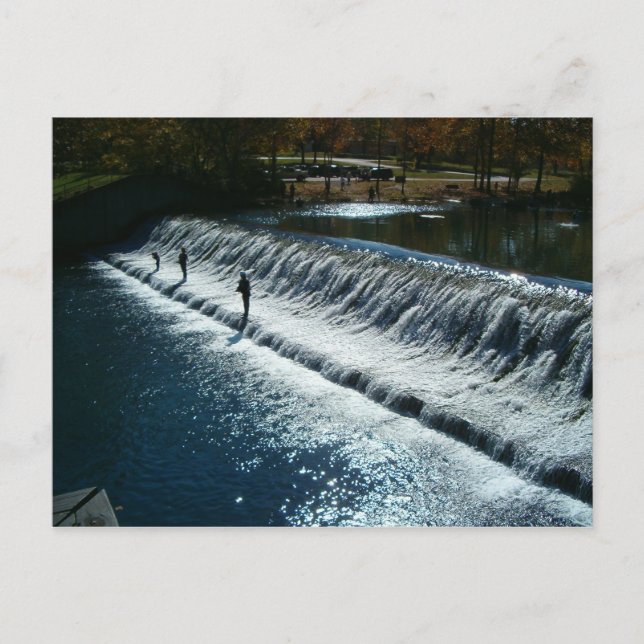 Fischen Postkarte (Vorderseite)