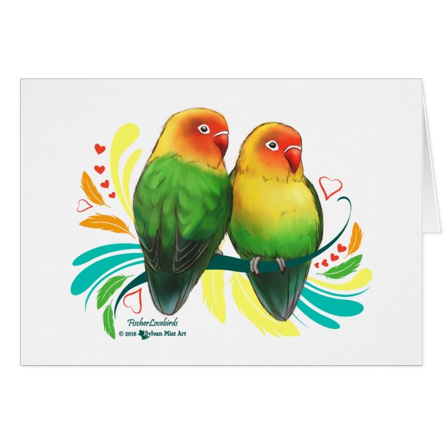 Fischer Lovebirds (Devant horizontal)