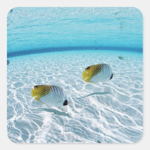 Fischerei im Meer 2 Quadratischer Aufkleber