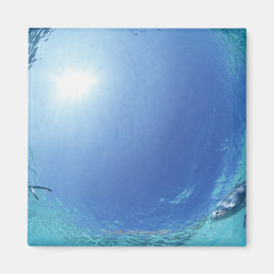 Fischerei im Meer Magnet