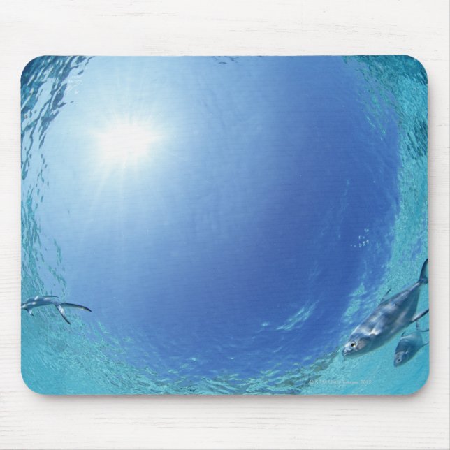 Fischerei im Meer Mousepad (Vorne)