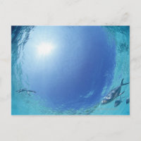 Fischerei im Meer