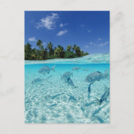 Fischerei im Meer Postkarte