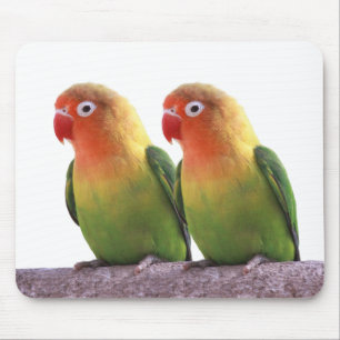 “Fischer's Lovebird”の優良製品 Mousepad