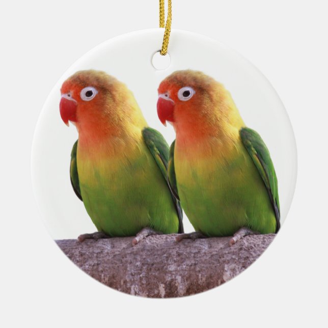 "Fischer's Lovebird" Keramikornament (Vorne)