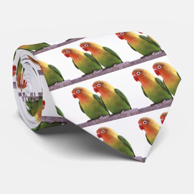Fischer's Lovebird Krawatte (Gerollt)