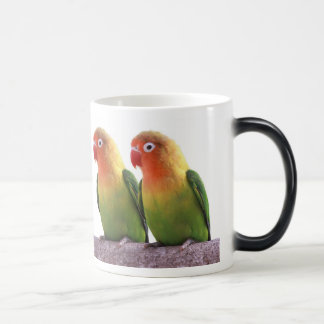 Fischer's Lovebird Verwandlungstasse