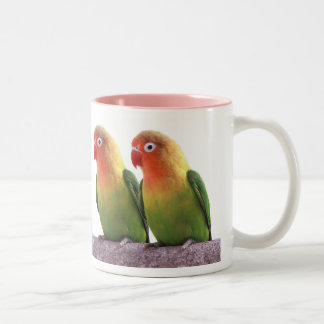 Fischer's Lovebird Zweifarbige Tasse