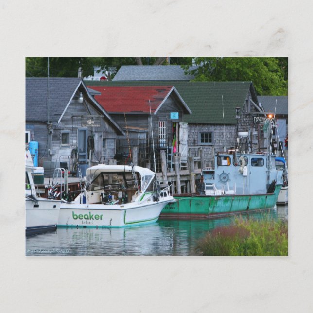 Fischerstadt Leland Postkarte (Vorderseite)