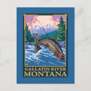 Fischfang - Gallatin River, Montana Postkarte
