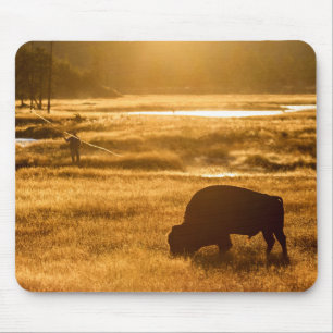 Fischfang in Yellowstone Mousepad