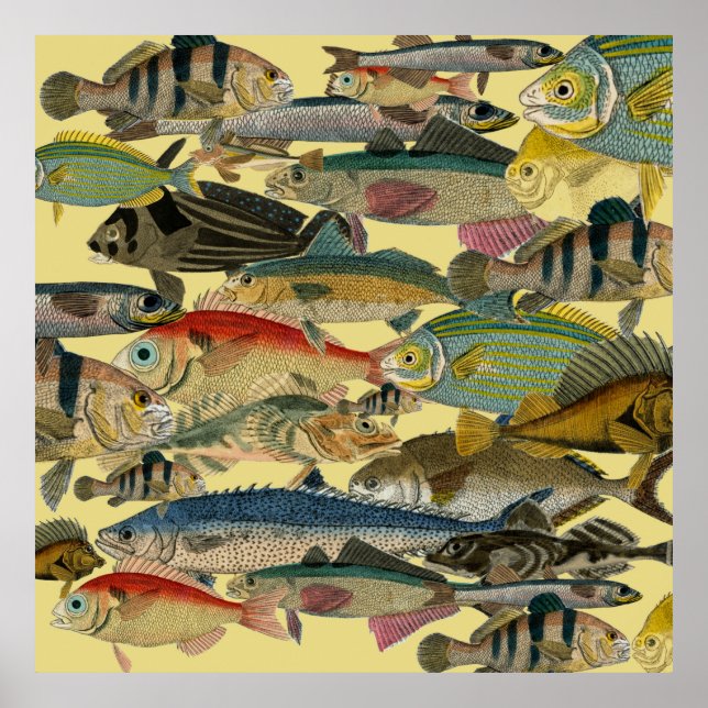 Fischfang Tiefseefischerei in exotischen tropische Poster (Vorne)