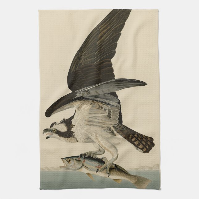 Fischhawk, Osprey, von Audubons Vögeln von Amerika Geschirrtuch (Vertikal)