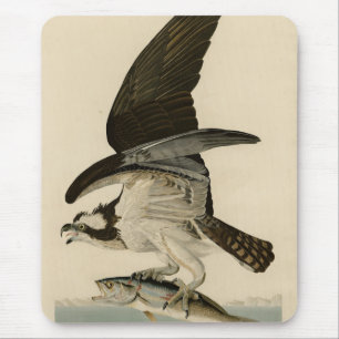 Fischhawk, Osprey, von Audubons Vögeln von Amerika Mousepad