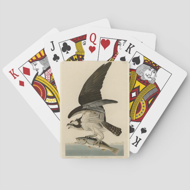 Fischhawk, Osprey, von Audubons Vögeln von Amerika Spielkarten (Rückseite)