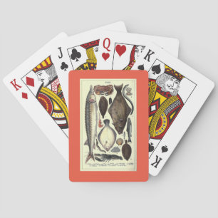 Fischillustrationen Vintage-Karte Grafik Spielkarten